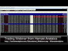 Hamzei Analytics - Trade Options Like a DPM with The Admiral Webinar Series