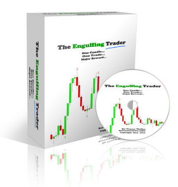 Timon Weller – The Engulfing Trader Video Series 2014