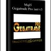 Mql5 - Gegatrade Pro last v5