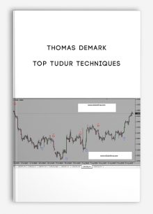 Top Tudur Techniques by Thomas Demark