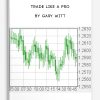 Trade Like a Pro by Gary Witt