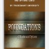 Foundations Of Stocks And Options (2015) by TradeSmart University