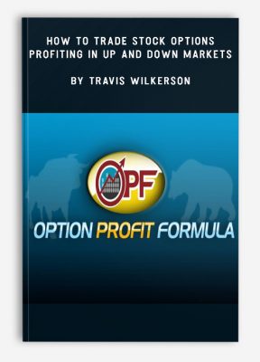 How to Trade Stock Options – Profiting in Up and Down Markets by Travis Wilkerson