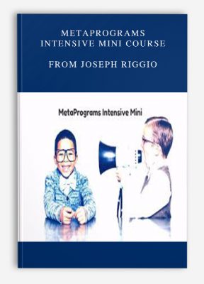 MetaPrograms Intensive Mini Course from Joseph Riggio