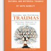 Cultural and Historical Traumas: Invisible Barriers to Healing and Change by Anita Mandley