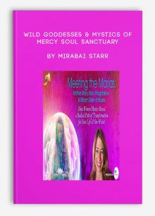 Wild Goddesses & Mystics of Mercy Soul Sanctuary by Mirabai Starr