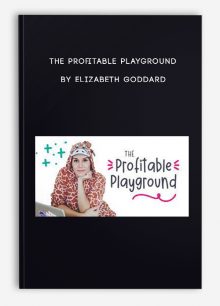 The Profitable Playground by Elizabeth Goddard