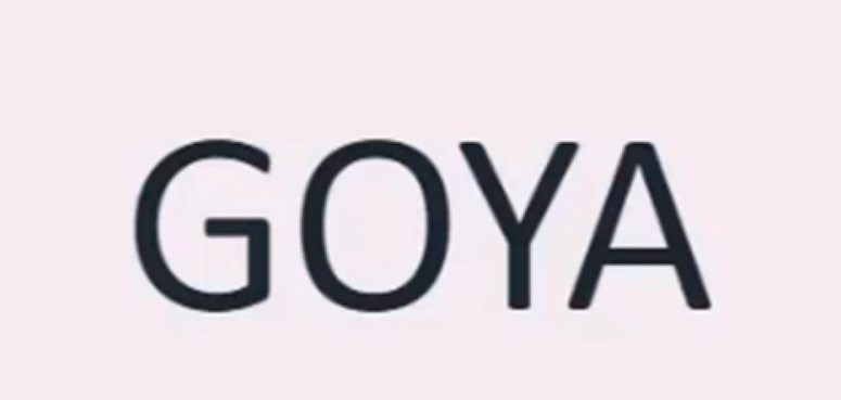 Goya Advanced Course 2023 – Sam9y