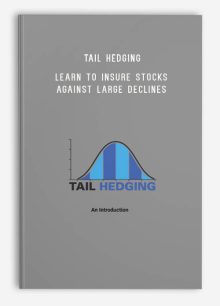 Tail Hedging - Learn to Insure Stocks Against Large Declines