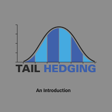 Tail Hedging - Learn to Insure Stocks Against Large Declines