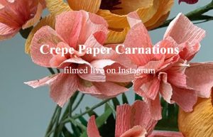 Amity Katharine Libby – Crepe Paper Carnations