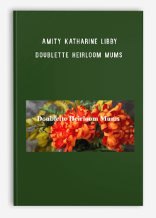 Amity Katharine Libby – Doublette Heirloom Mums