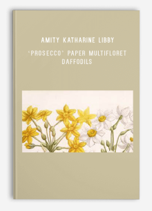 Amity Katharine Libby – ‘Prosecco’ Paper Multifloret Daffodils