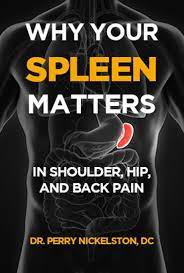 Perry Nickelston – Stop Chasing Pain – Why Your Spleen Matters