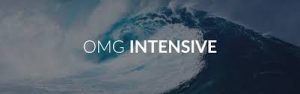 Amir Zoghi – The OMG Intensive