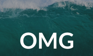 Amir Zoghi – The OMG Program