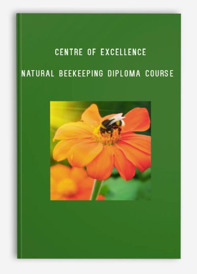 Centre of Excellence – Natural Beekeeping Diploma Course