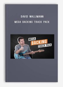 David Wallimann – MEGA BACKING TRACK PACK