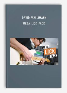 David Wallimann – MEGA LICK PACK