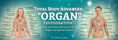 Dawn Crystal – Total Body Advanced Organ Regeneration