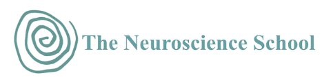 Irena O’Brien – Neuroscientists – Self-Study Program