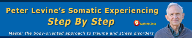 Peter Levine’s Somatic Experiencing & Step by Step – Master the Body-oriented Approach to Trauma and Stress Disorders