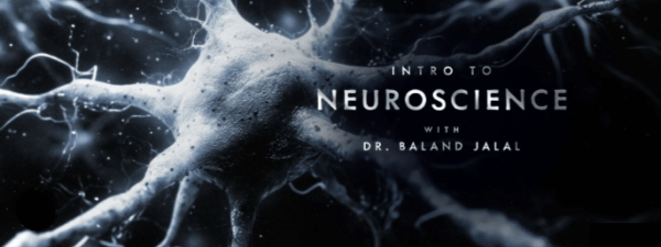 Peterson Academy – Baland Jalal – Intro to Neuroscience