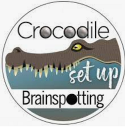 Roby Abeles – Brainspotting and Addictions with the Crocodile Set Up