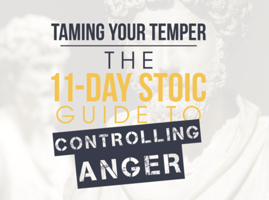 Ryan Holiday – Daily Stoic – Taming Your Temper The 11-day Stoic Guide to Controlling …