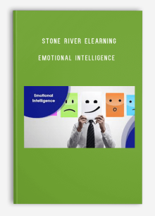 Stone River eLearning – Emotional Intelligence