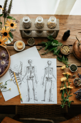 THE HERBAL ACADEMY – Advanced Herbal Course