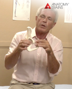 Tom Myers – Balancing the Pelvis Video & Quiz