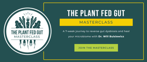 Will Bulsiewicz – The Plant Fed Gut Masterclass 2023