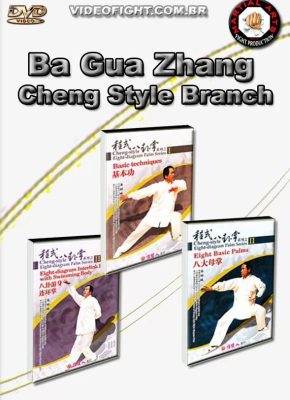 BA GUA ZHANG CHENG STYLE BRANCH